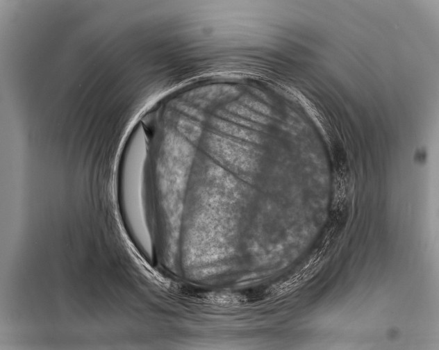 X0000098190795200805151203