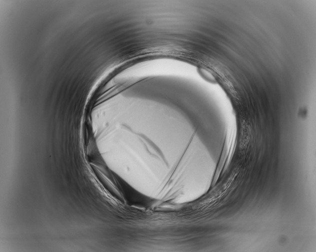 X0000098190796200805151203