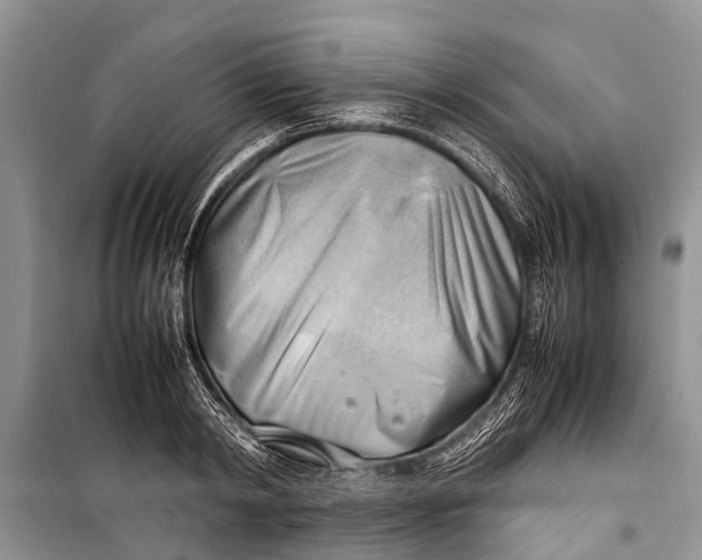 X0000098190798200805151203