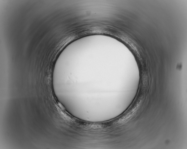 X0000098190801200805151203