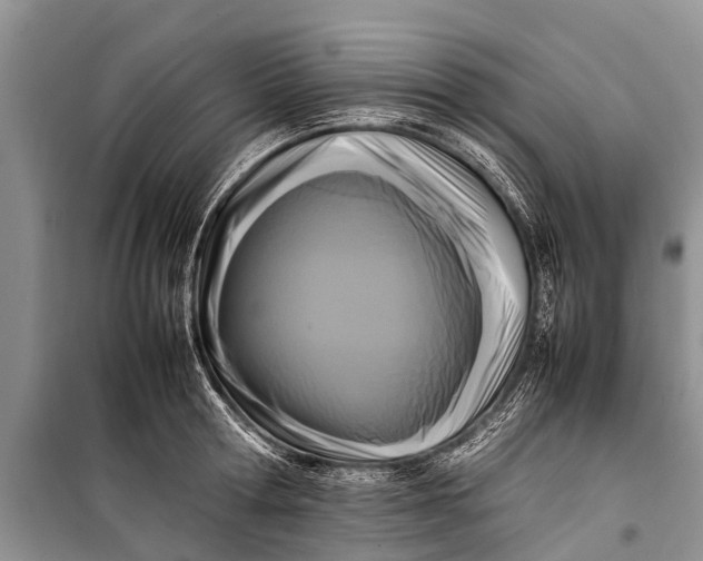 X0000098190802200805151203