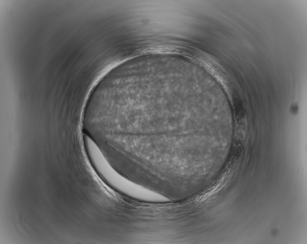X0000098190803200805151203