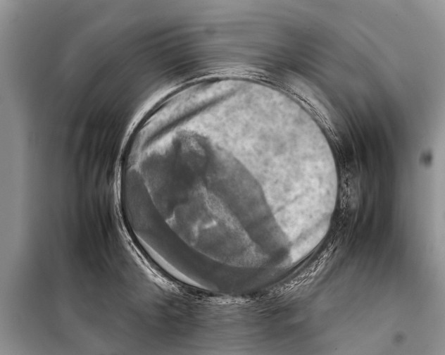 X0000098190804200805151203
