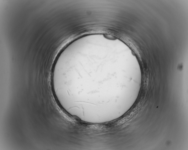 X0000098190805200805151203
