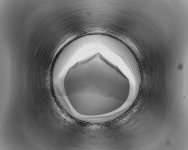 X0000098190806200805151203