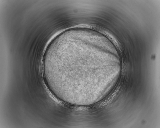 X0000098190808200805151203