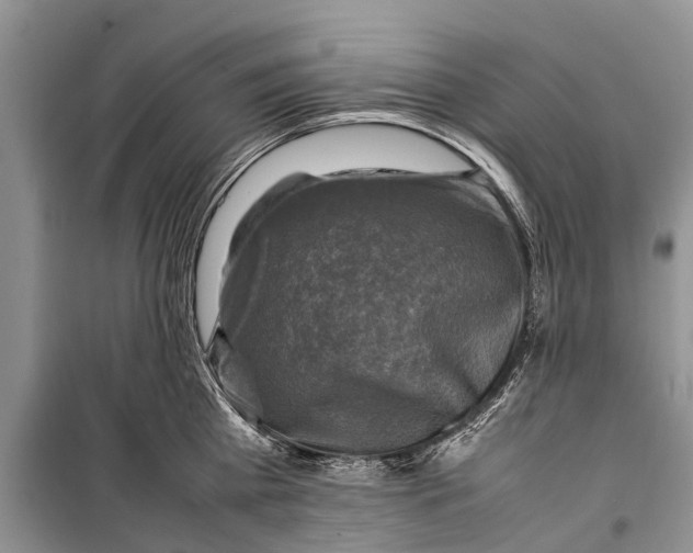 X0000098190809200805151203