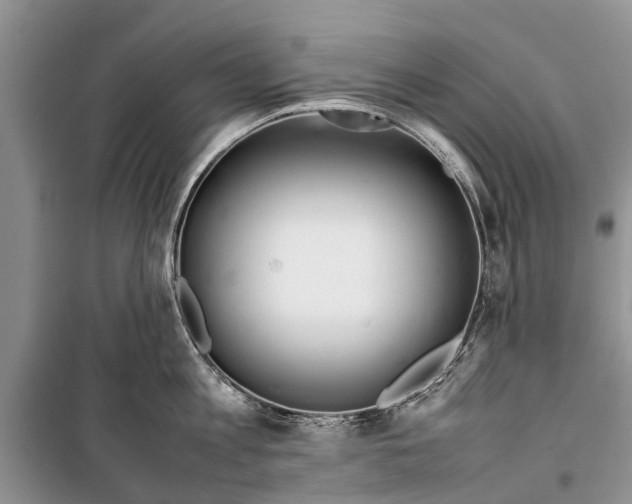 X0000098190813200805151203