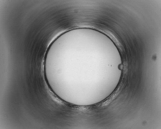 X0000098190814200805151203