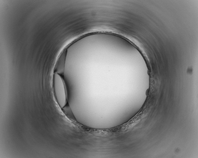 X0000098190815200805151203