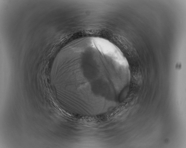 X0000098190817200805151202