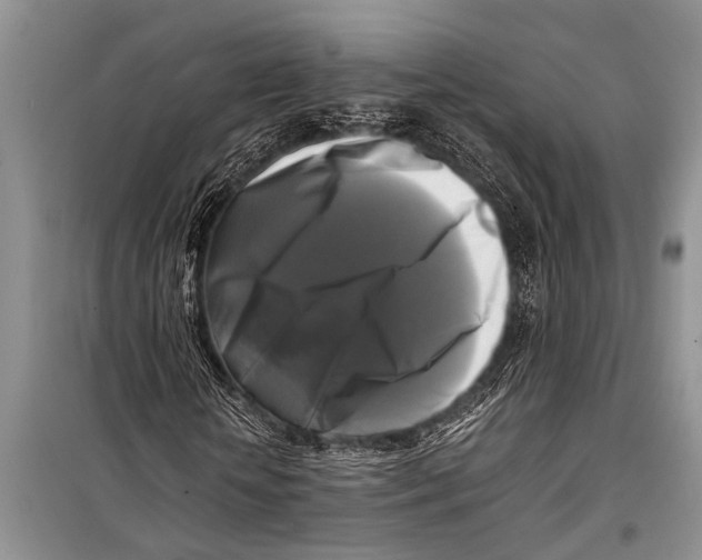 X0000098190818200805151202