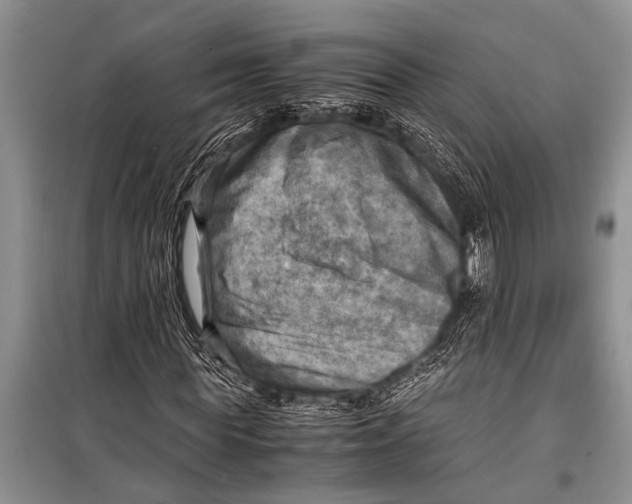X0000098190819200805151202