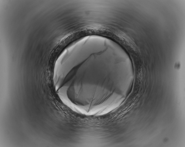 X0000098190822200805151203