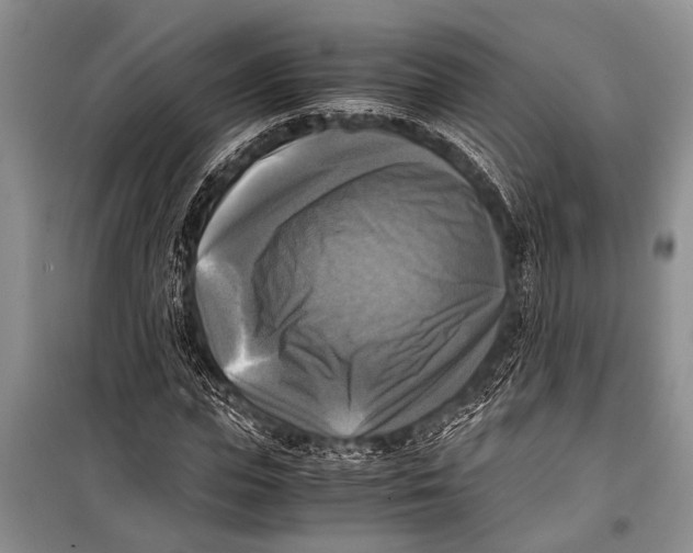 X0000098190823200805151203