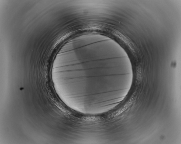 X0000098190826200805151203
