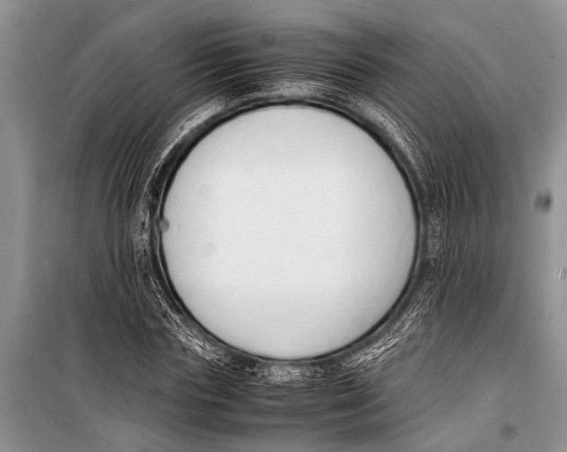 X0000098190827200805151203
