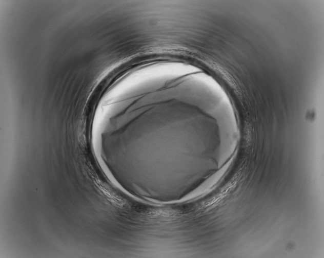 X0000098190830200805151203