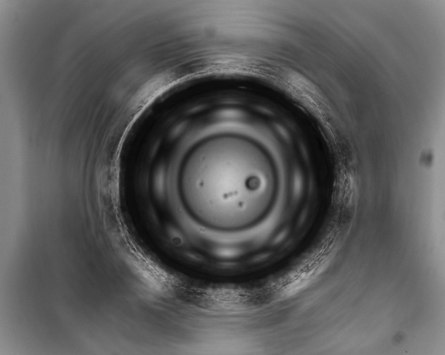X0000098190836200805151203