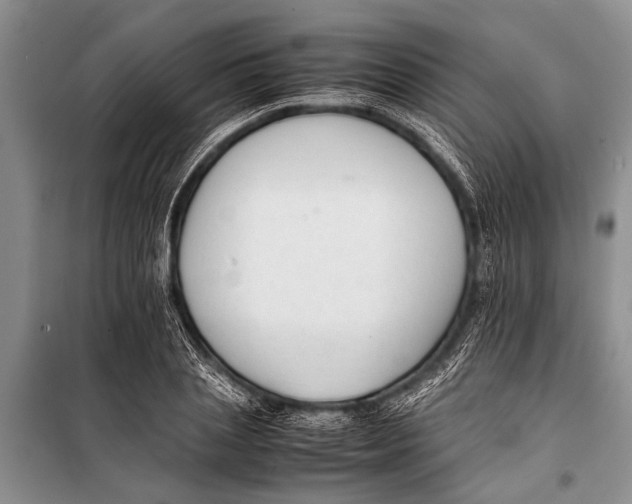 X0000098190837200805151203