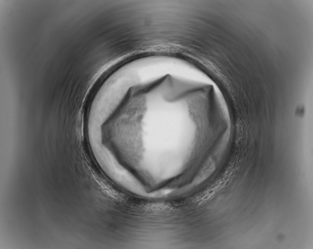 X0000098190838200805151203