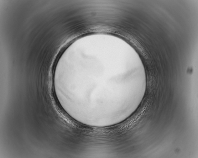X0000098190840200805151203