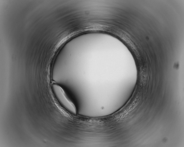 X0000098190842200805151203