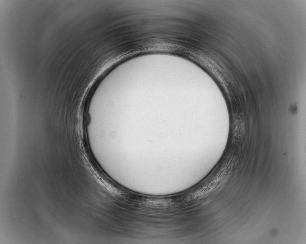 X0000098190843200805151203