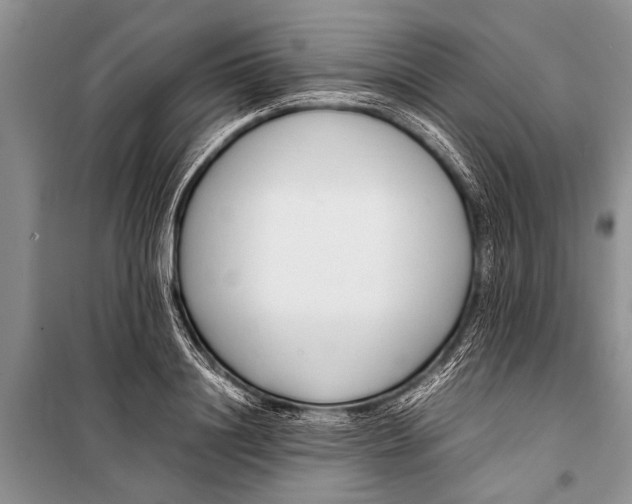 X0000098190844200805151203