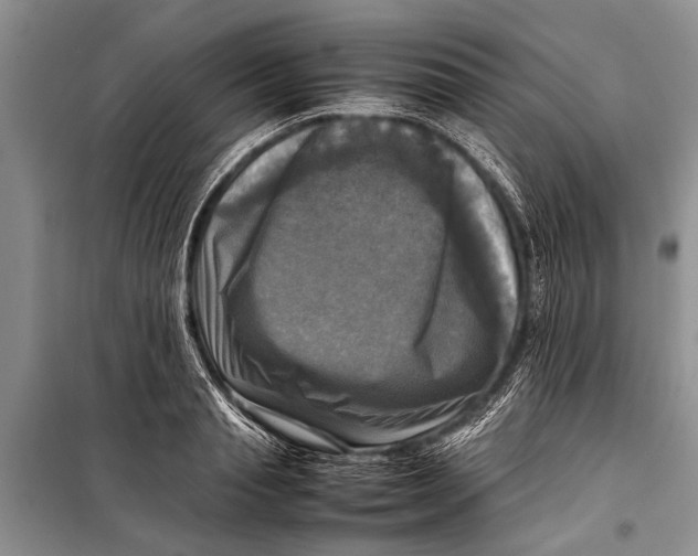 X0000098190845200805151203