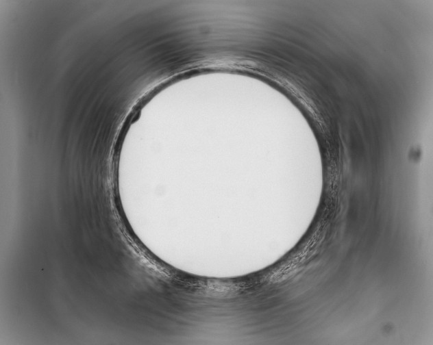 X0000098190848200805151203