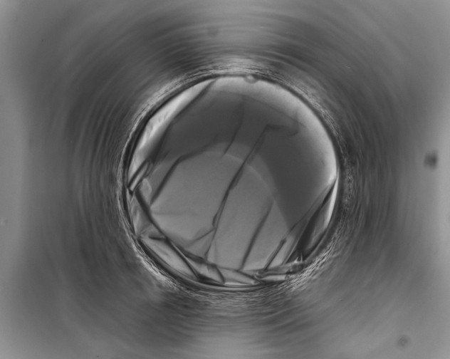X0000098190850200805151203
