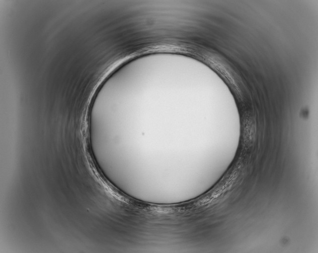 X0000098190852200805151203