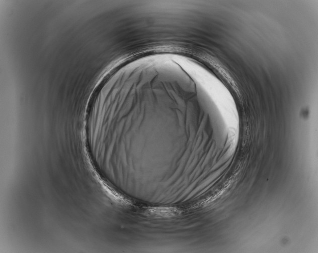 X0000098190853200805151203