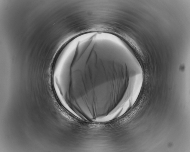 X0000098190854200805151203