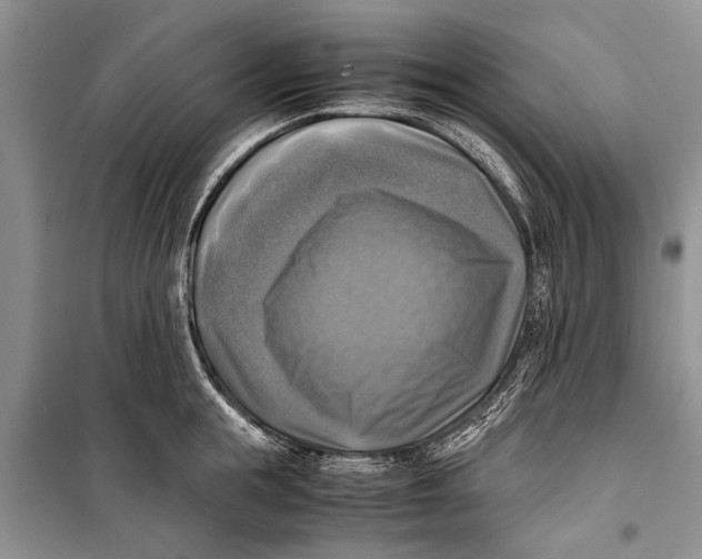 X0000098190855200805151203