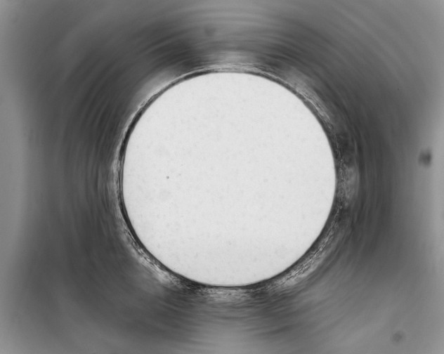 X0000098190856200805151203