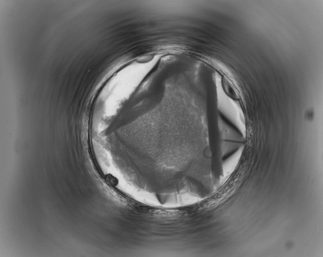 X0000098190859200805151203
