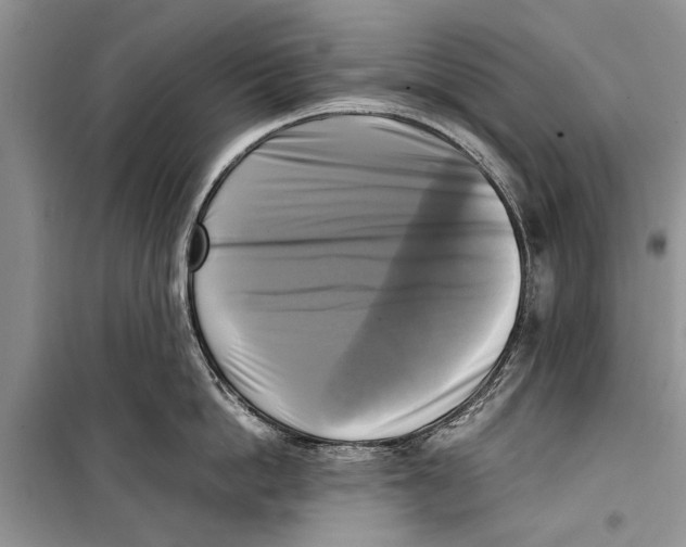 X0000098190862200805151203