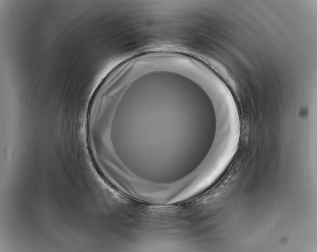 X0000098190863200805151203