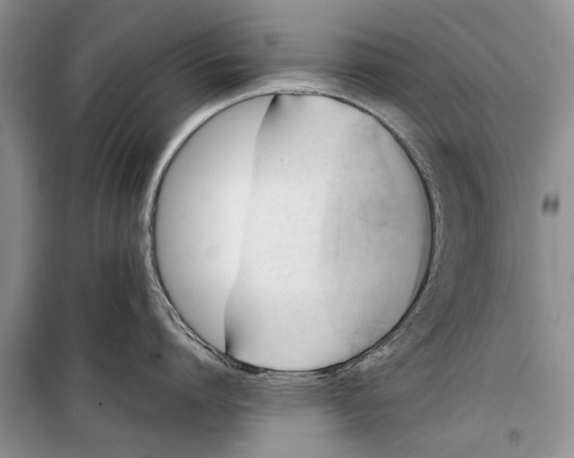 X0000098190864200805151203