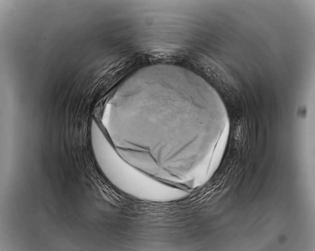 X0000098190868200805151202