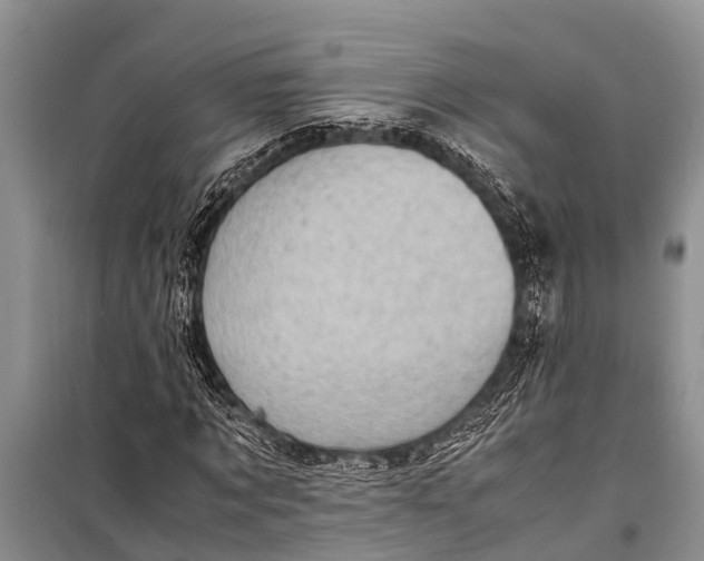 X0000098190869200805151202