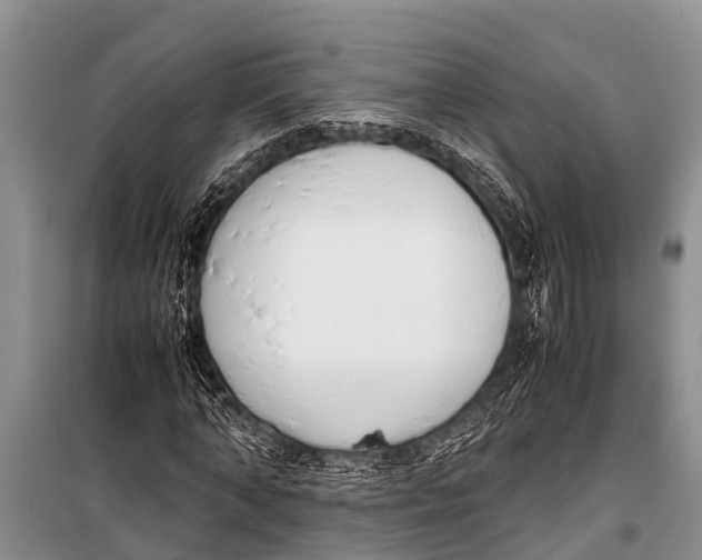 X0000098190870200805151202