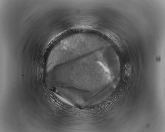 X0000098190872200805151202