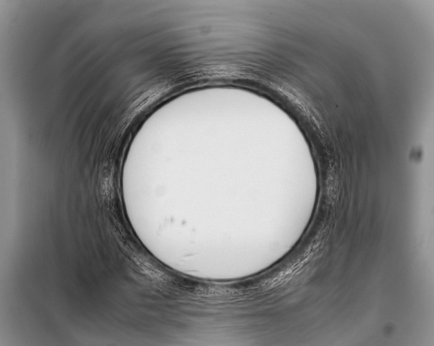 X0000098190873200805151202
