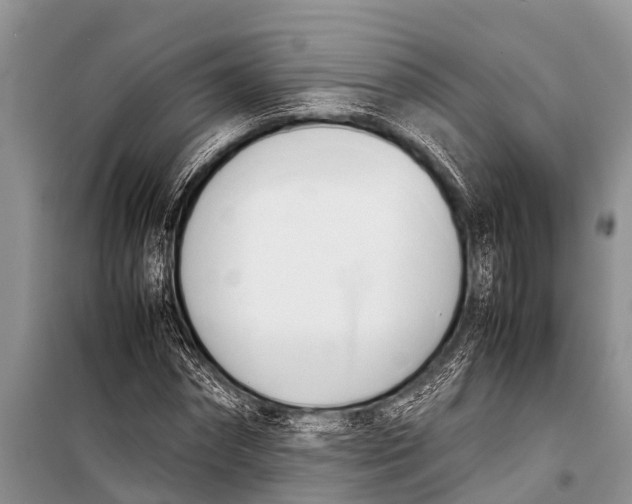 X0000098190874200805151202