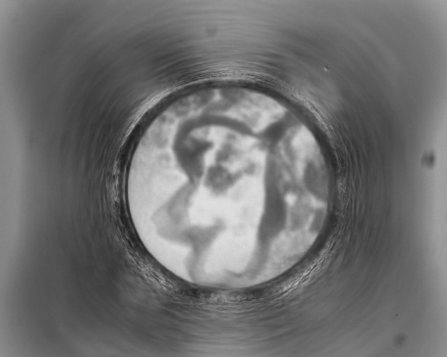 X0000098190875200805151202