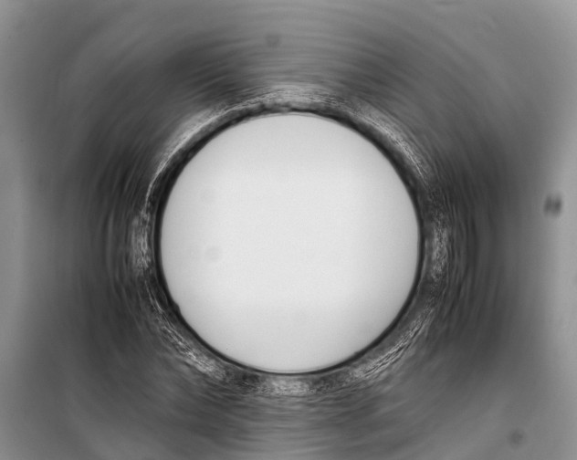 X0000098190878200805151202