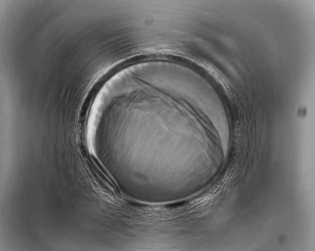 X0000098190879200805151202